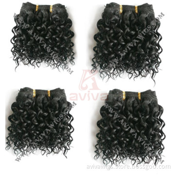 Afro Jerry Curl Human Hair Weft (AV-HE019)